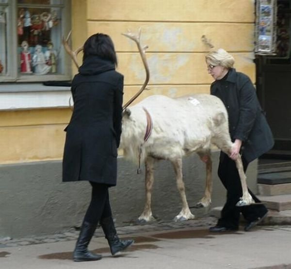 Фотоподборка вторника! (123 фото)