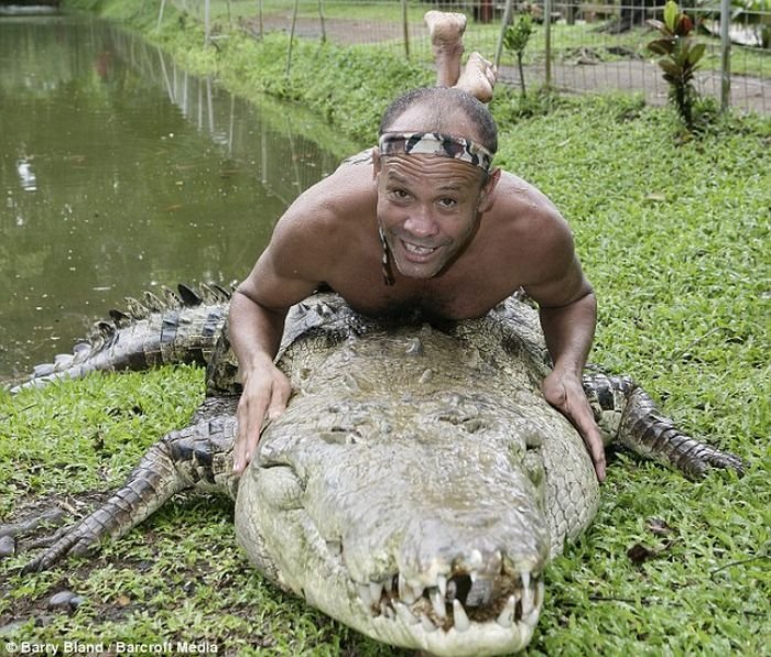 Дрессированный крокодил (4 фото)