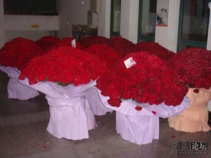 Десять тысяч роз (8 фото)