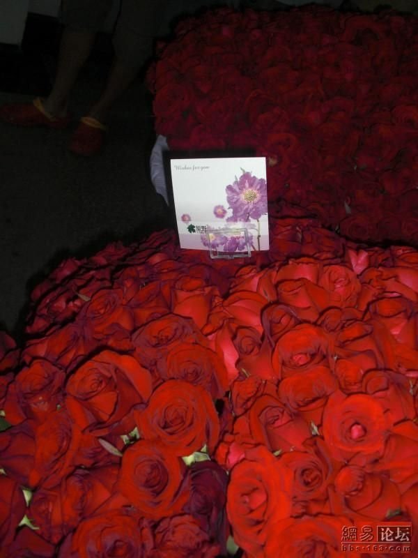 Десять тысяч роз (8 фото)