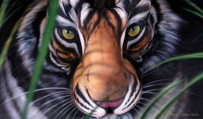 Бодиарт в виде тигра (6 фото)