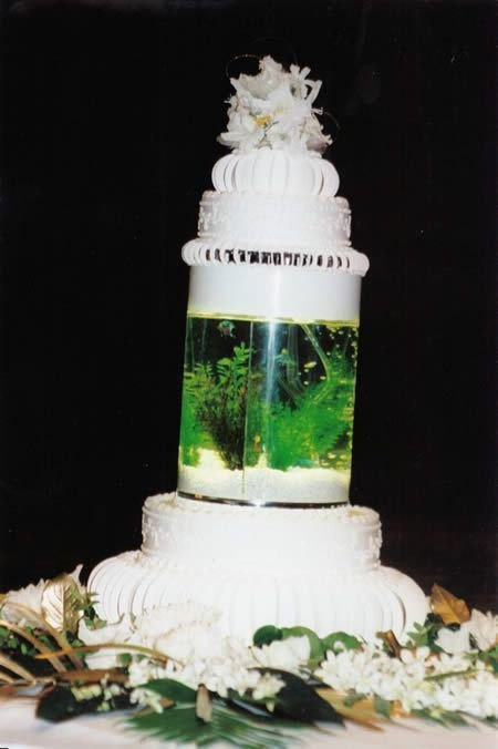 Необычные свадебные торты (12 фото)