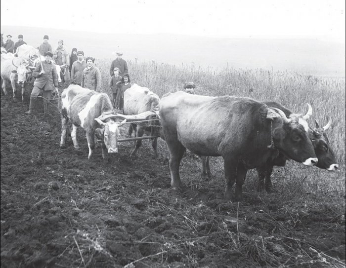 Украинская деревня в первой половине 1930-х годов (28 фото)