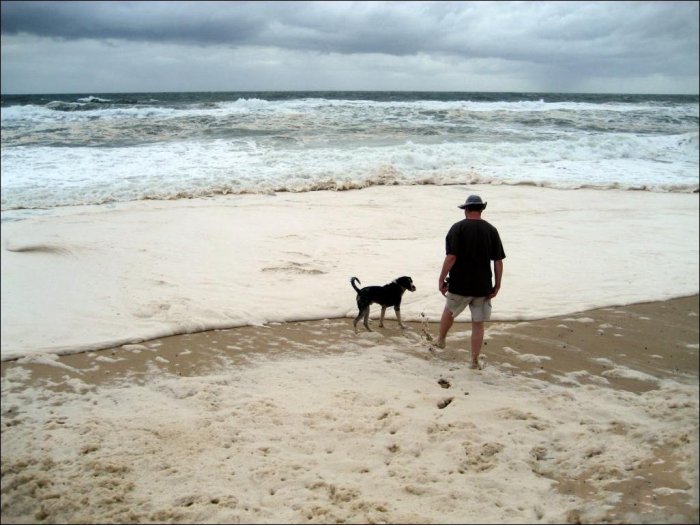 Пена на пляжах Австралии (15 фото)