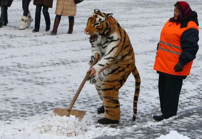 Люди в костюмах (98 фото)