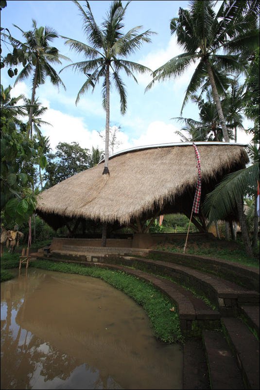 Экологическая школа на Бали (44 фото)