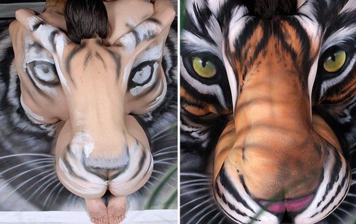 Как рисовали тигра (17 фото)