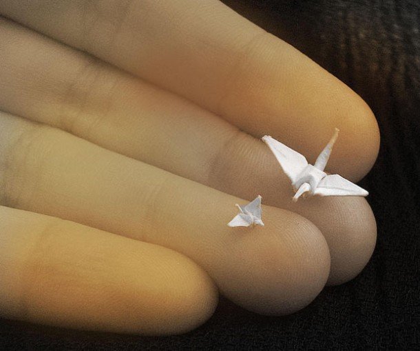 Самое маленькое оригами (13 фото)