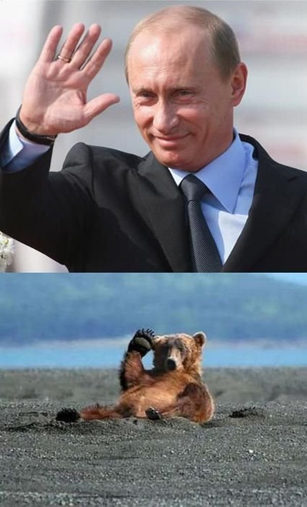 Привет, Путин! (9 фото)