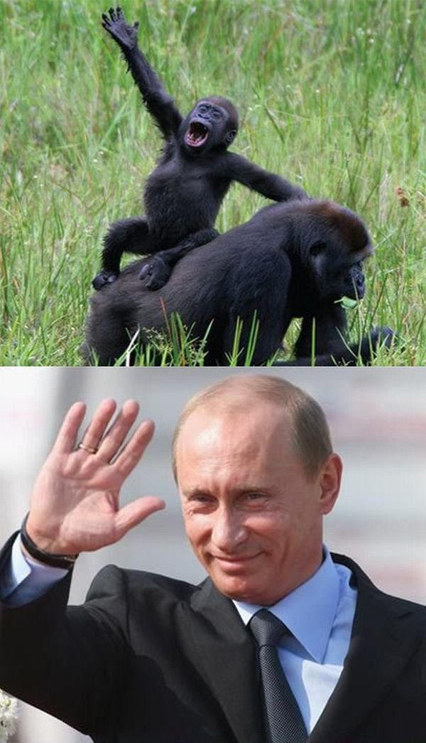 Привет, Путин! (9 фото)