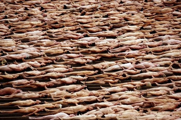 5000 голых людей (20 фото)