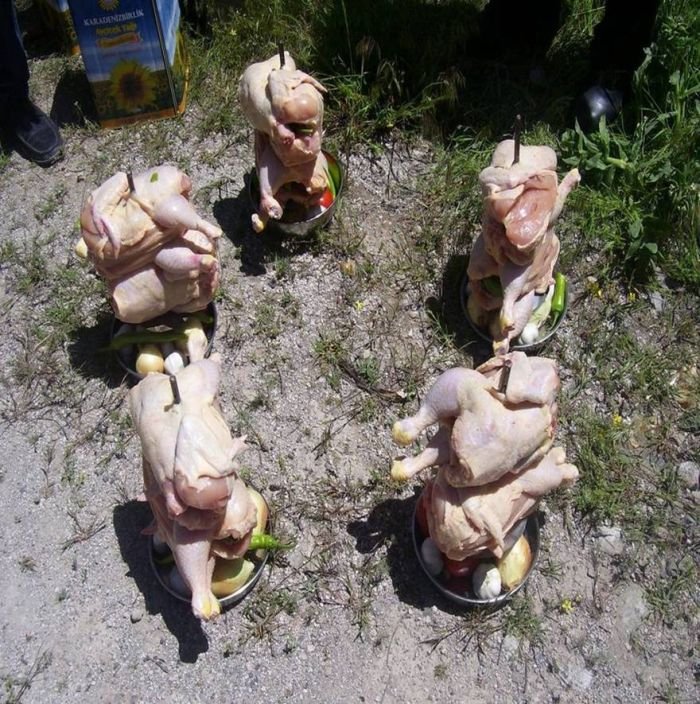 Готовим курицу на природе (10 фото)