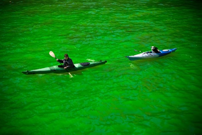Зеленая вода (14 фото)