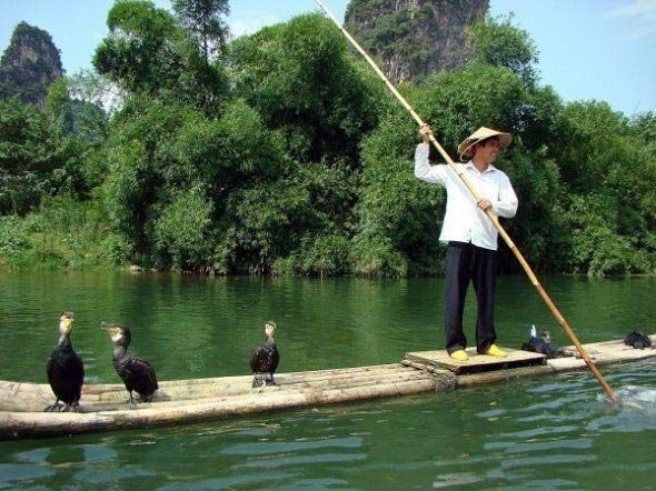 Необычный способ рыбной ловли (10 фото)