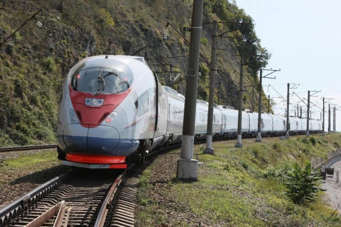 Высокоскоростной поезд Сапсан (20 фото)