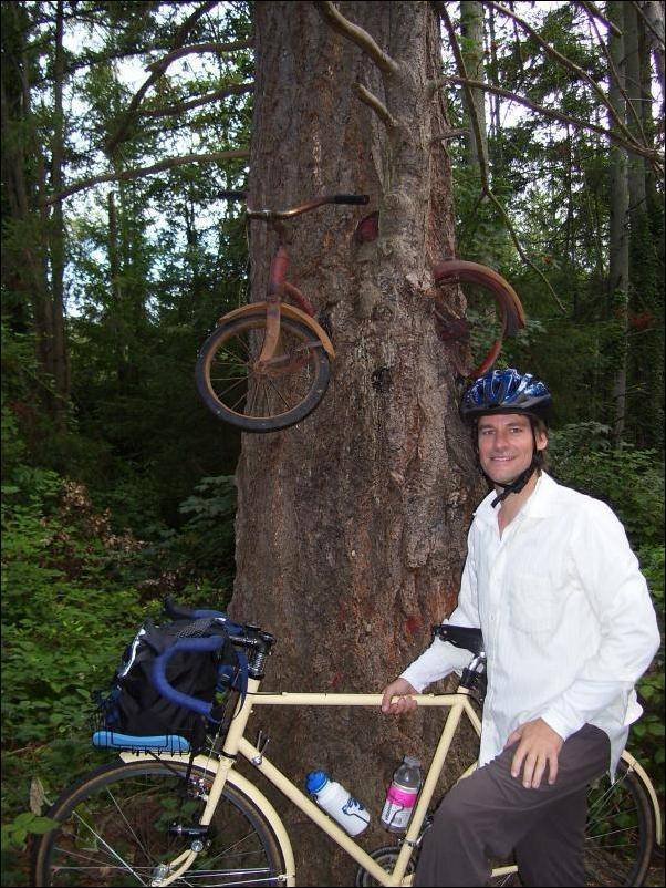 Велосипед в дереве (5 фото)