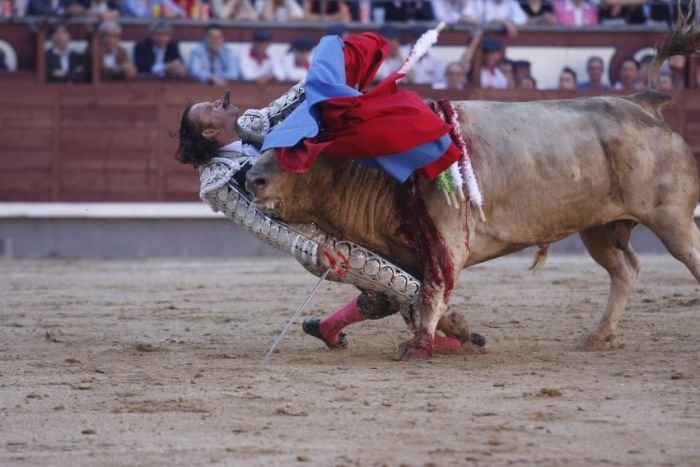 Бой с быком (5 фото)
