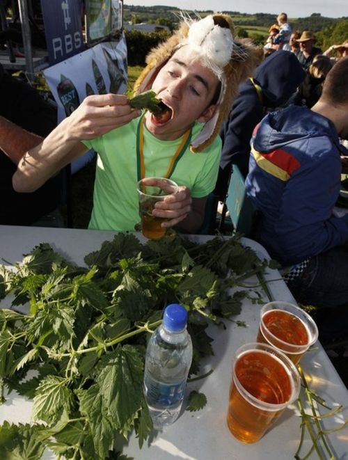 Конкурс по поеданию крапивы (8 фото)