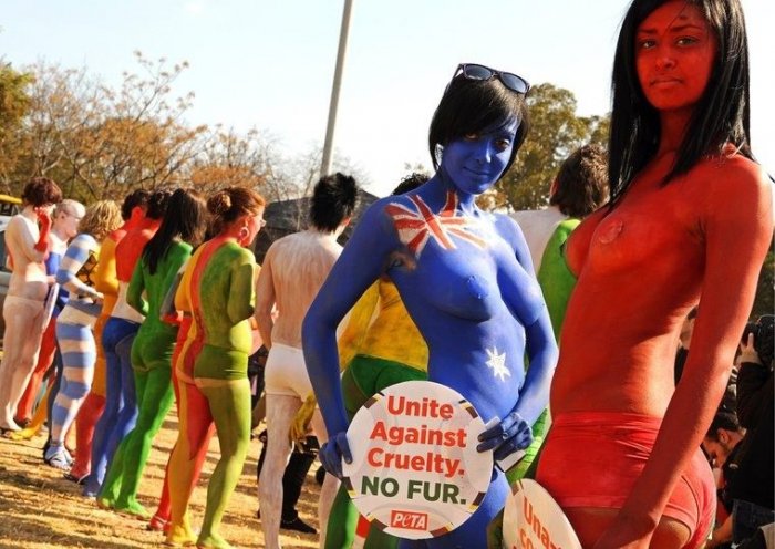 Протест против использования меха животных в ЮАР (11 фото)