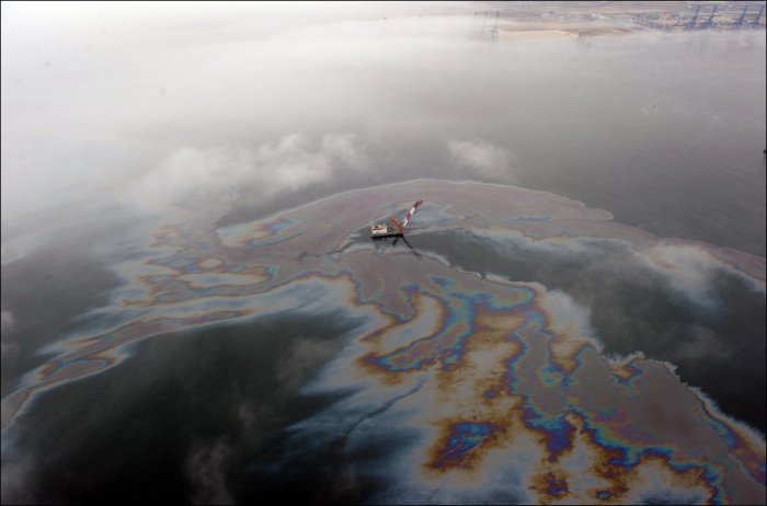 Нефтяная катастрофа в Далянь (29 фото)