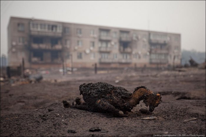 Пожары в России (45 фото + видео)