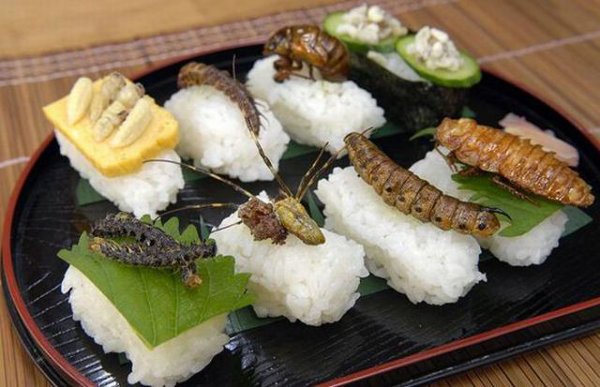 Необычные суши (12 фото)