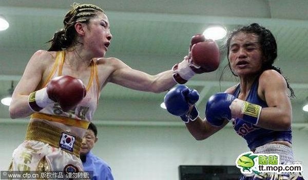 Девушки боксируют (12 фото)