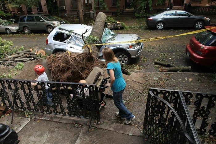 В Нью-Йорке прошел торнадо (17 фото)