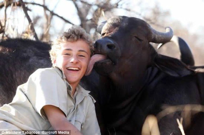Дружба мальчика и быка (4 фото)