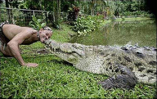 Дружба с крокодилом (4 фото)
