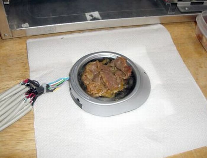 Жарка мяса через USB (6 фото)
