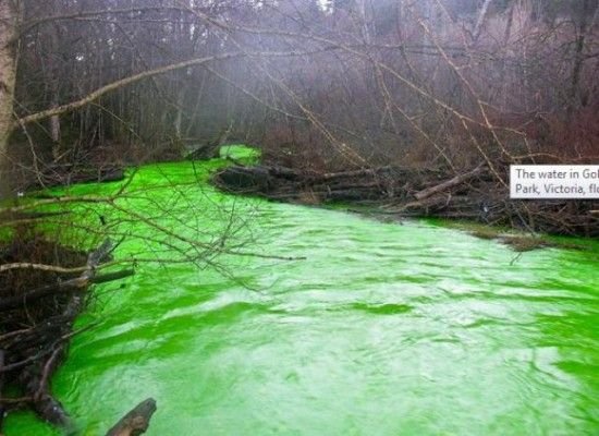 Зеленая река в Канаде (6 фото)