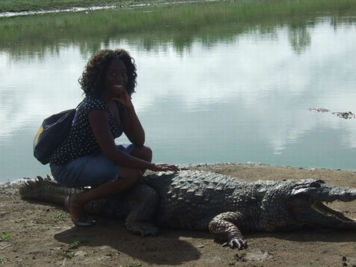 Спокойные крокодилы (19 фото)