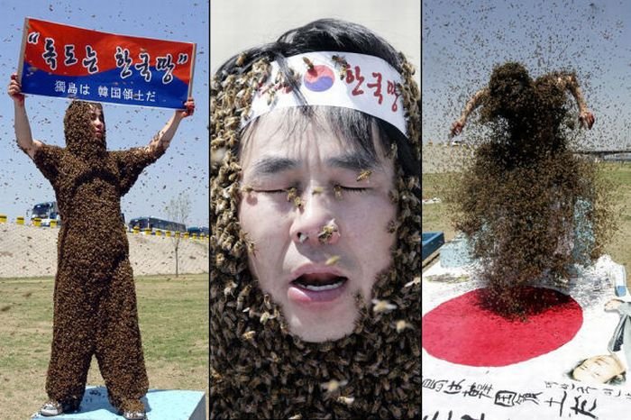 Странные фотографии из Южной Кореи (42 фото)