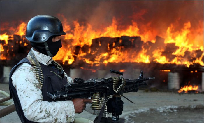 В Мексике сожгли 134 тонны конфискованной марихуаны (14 фото)