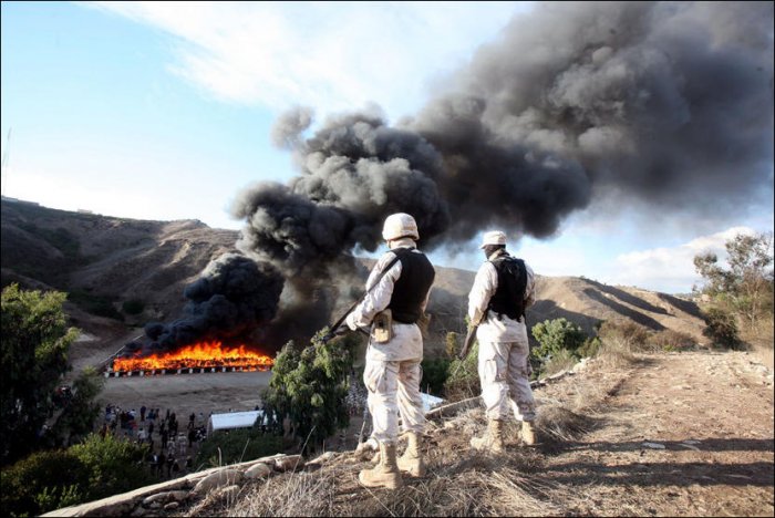 В Мексике сожгли 134 тонны конфискованной марихуаны (14 фото)