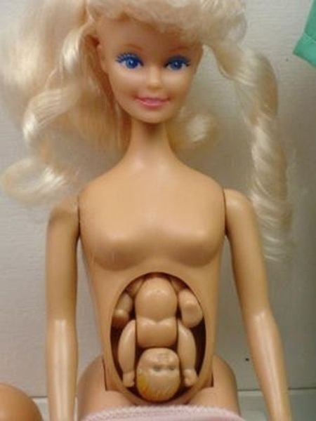 Беременная подруга куклы Барби (18 фото)