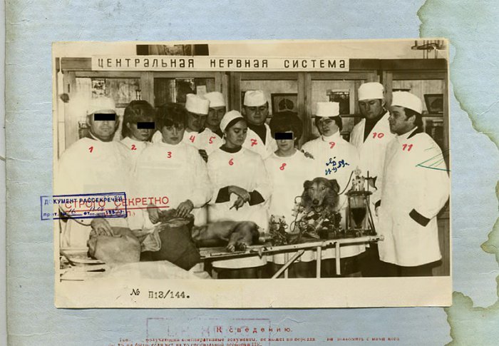Биоробот из СССР (8 фото)
