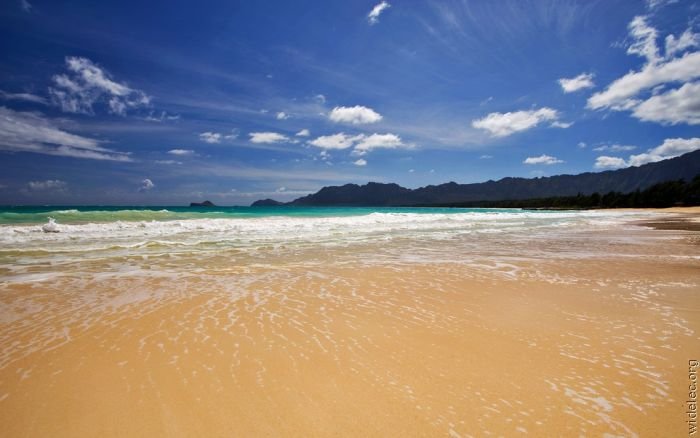 Море, солнце и песок (104 фото)