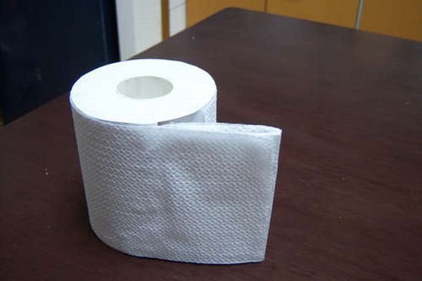 Прикол с туалетной бумагой (15 фото)