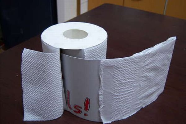 Прикол с туалетной бумагой (15 фото)