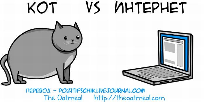 Кот против интернета (21 фото)