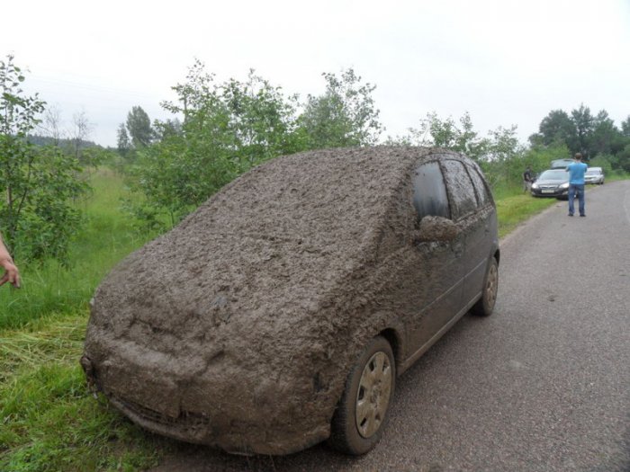 Найди машину (3 фото)