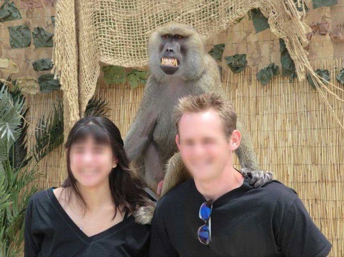 Фотография с обезьянкой (4 фото)