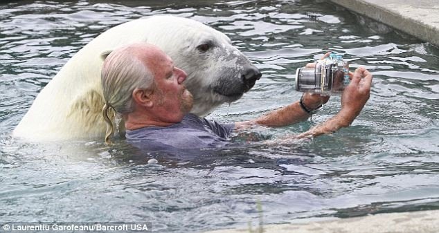 Человек и белый медведь (6 фото)