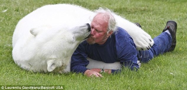 Человек и белый медведь (6 фото)