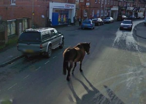Странные кадры Google Street View (40 фото)