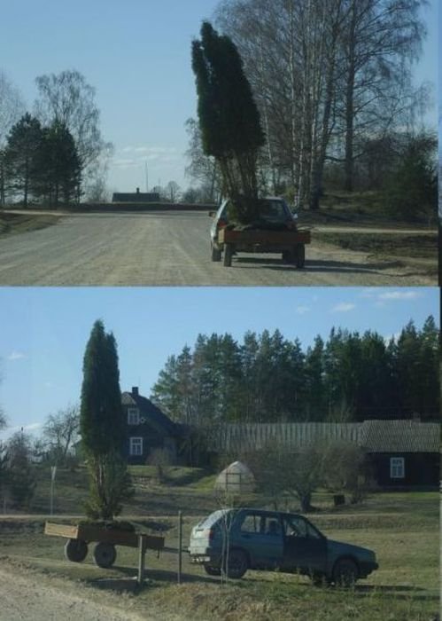 Загонные фотографии из Латвии (47 фото)