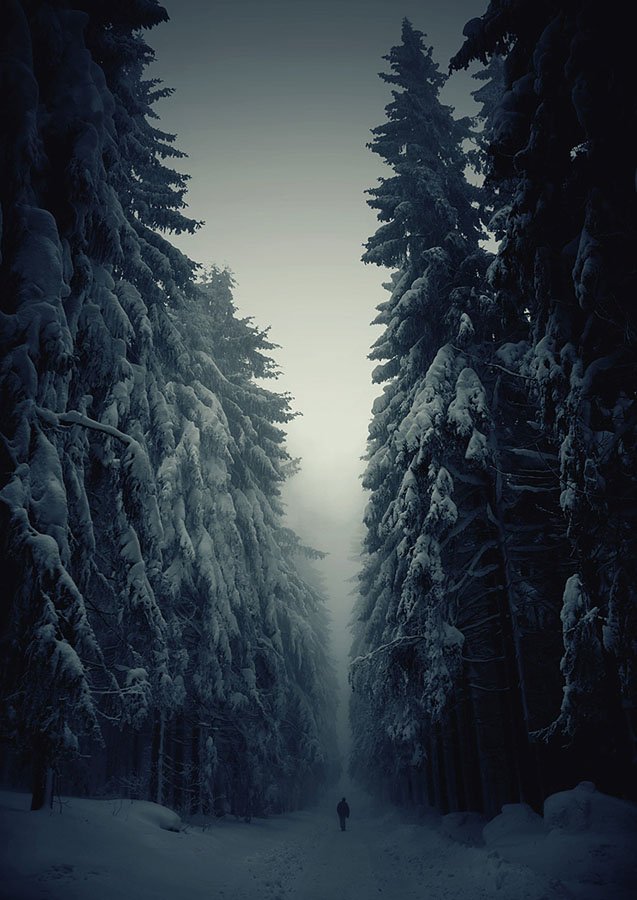 Зима (20 фото)
