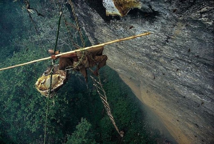 Собиратель дикого меда в Непале (13 фото)